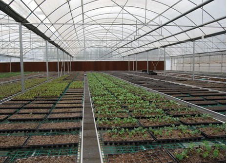 high tunnel agriculture greenhouse high tunnel agriculture greenhouse