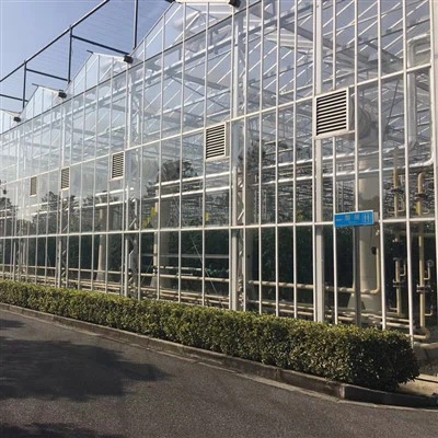 Intelligentes mehrstöckiges Glasgewächshaus für die Landwirtschaft