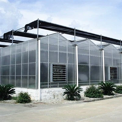 Salat-Polycarbonat-Gewächshaus