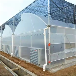 Tomaten-Tunnel-Gewächshaus