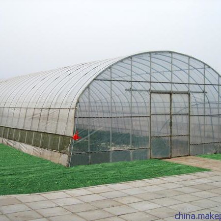 Gemüsetunnel-Gewächshaus