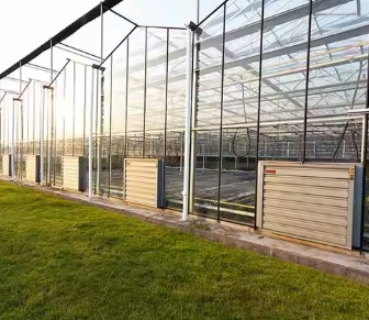 Venlo Type Greenhouse